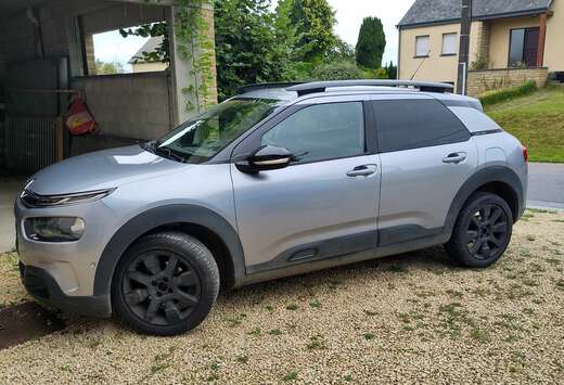 Citroen C4 cactus 1.2 PureTech 130 S&S EAT6 shine