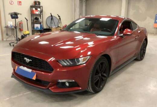 Ford Mustang 2.3 EcoBoost/CUIR/NAVI/AUTOMATIQUE/SPORT