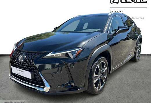 Lexus Executive Line + Pano