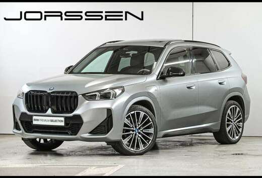 BMW xDrive25e