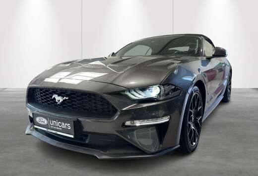 Ford 2.3i Aut. EcoBoost CONVERTIBLE