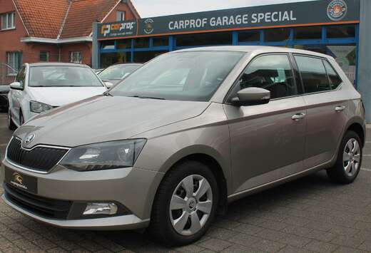 Skoda 1.0 TSI Style DSG