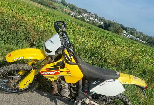 Suzuki enduro
