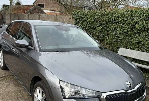 Skoda 1.0 TSI Ambition DSG