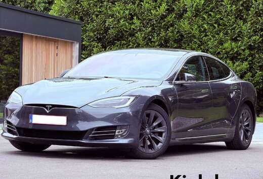 Tesla Long Range - Raven - Autopilot