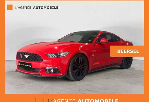 Ford Garantie 12 Mois