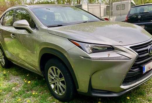 Lexus Business Line AWD