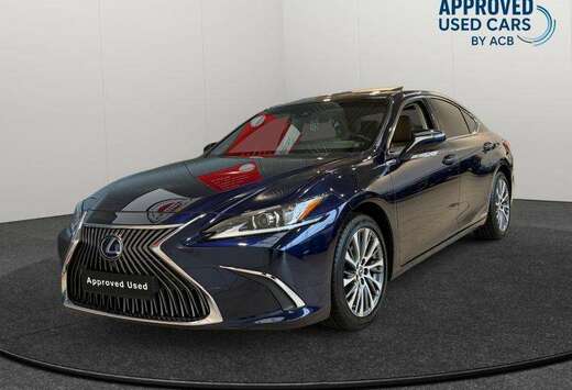 Lexus 2.5 300h 4d 131kW