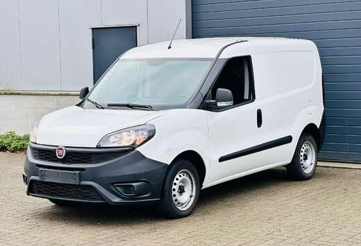 Fiat camionette Control Carpass oke