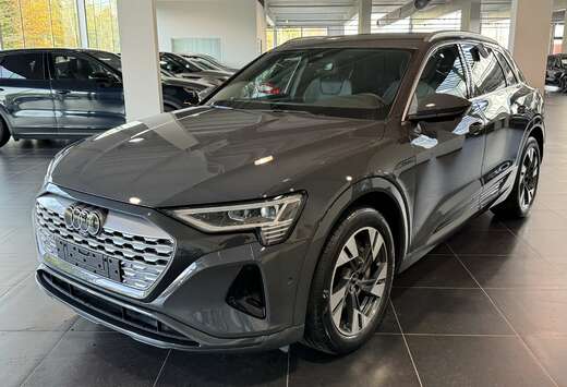 Audi 50 Quattro S-Line 360 Camera, Trekhaak, Memory S ...