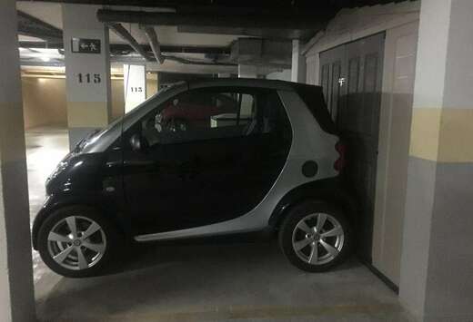 Smart pasion