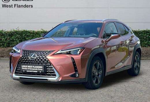 Lexus Business Line+cam+gps+sens V+A