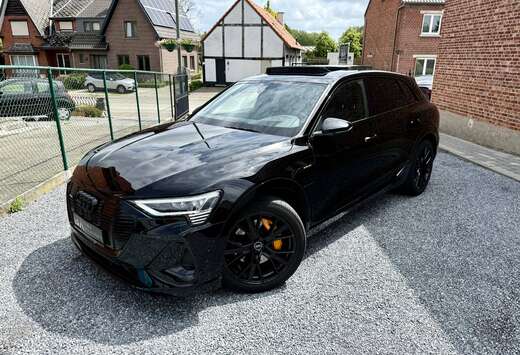 Audi 95 kWh 55 Quattro 3x S line Black Edition  360   ...