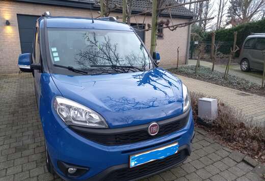 Fiat Doblo Professional