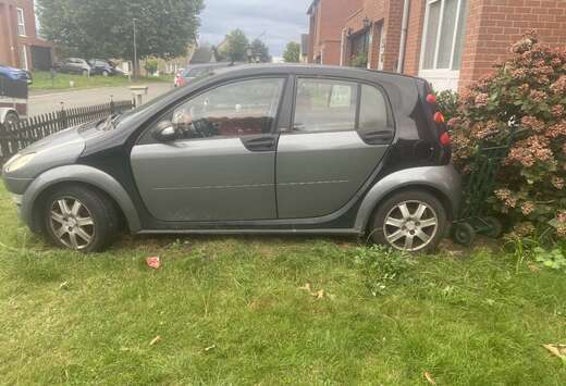 Smart 1.1i Pure