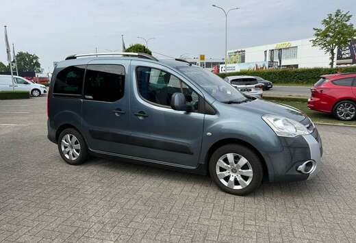 Citroen Enkel voor professionele verkoop.