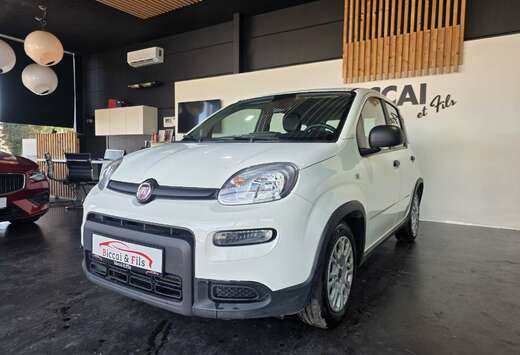Fiat Panda 1.0i MHEV //CAR PLAY// CLIM AUTO// A SAISI ...