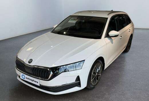 Skoda Family