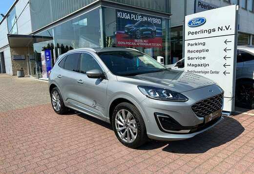 Ford Vignale PHEV AUT