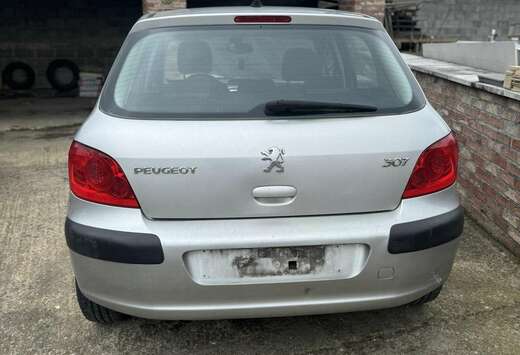 Peugeot 2.0i 16v Sport