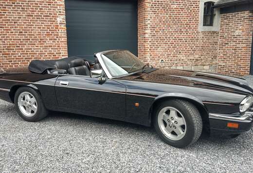 Jaguar XJS V12 6.0 Rare version européenne Ancêtre