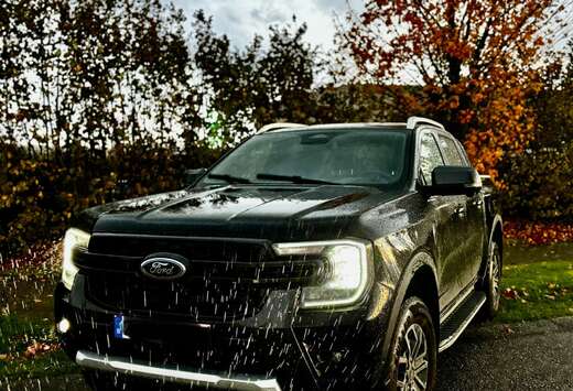 Ford 2.0 EcoBlue e-4WD Wildtrak 38000€HTVA. Utilita