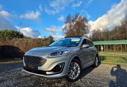 Ford Kuga 1.5 TDCi EB FWD Vignale (EU6d)