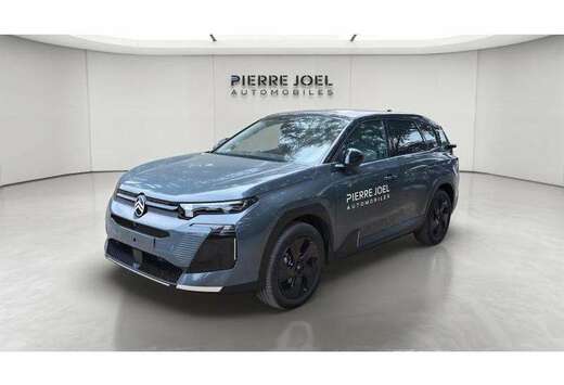 Citroen Max