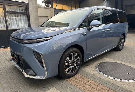 Luxury uitvoering met trekhaak 7 plaatsen