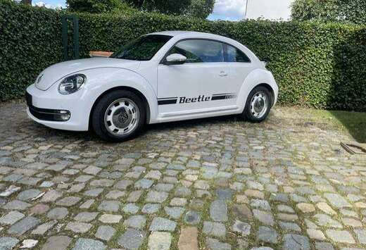 Volkswagen Beetle 1.2 TSI Design BMT