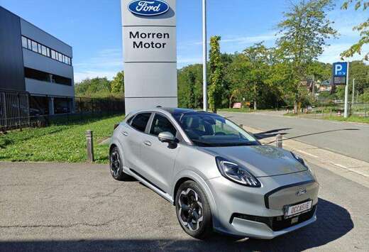 Ford Gen-E Premium Pano dak *02755