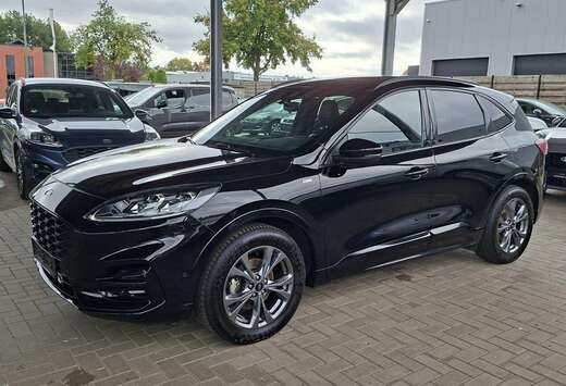 Ford ST - Line X 1.5 EcoBlue A8 Pano dak