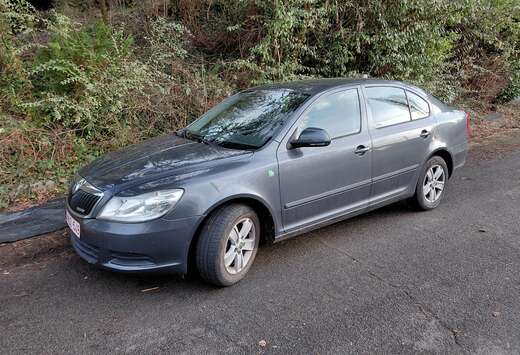 Skoda Octavia 1.6 CR TDi GreenLine Ambiente DPF