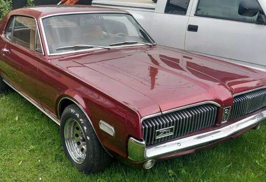 Cougar