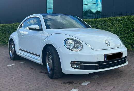 Volkswagen Volkswagen Beetle Cup Edition Retro  Topst ...