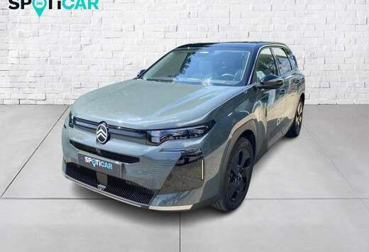 Citroen Max