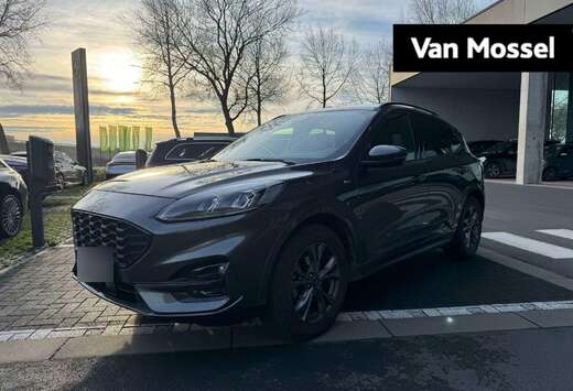 Ford ST Line X - Winterpack - Driver - B&O - Head Up