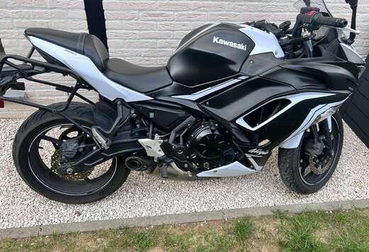 Ninja 650 ABS – Metallic Spark Black / Pearl Blizza ...