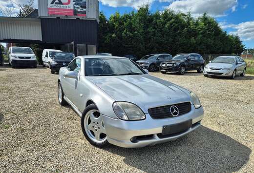 Mercedes-Benz Cabrio / Leder / 113.000 KM Garantie