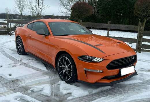 Ford Mustang 2.3 EcoBoost (EU6.2)
