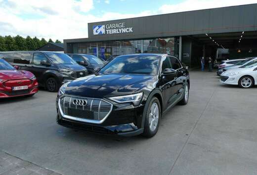 Audi 50 Quattro 313pk Business Luxe Camera \'22 39000 ...