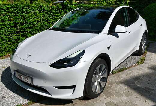 Tesla Model Y 52 kWh Standard Range RWD - Enhanced Au ...