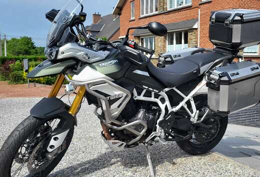 Triumph Rally Pro