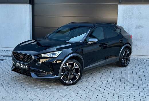 e-Hybrid 1.4 VZ 245PK Night Edition / Cupra Kuipzetel ...
