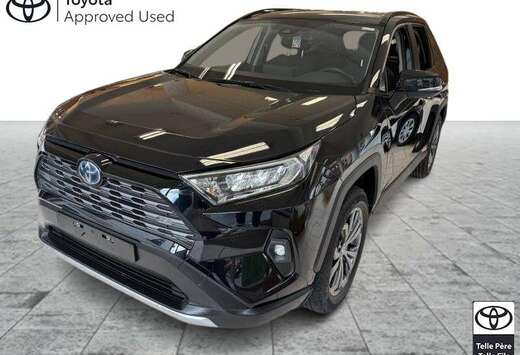 Toyota Dynamic Plus