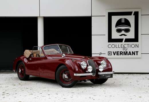 Jaguar XK120 DHC  - Road racing spec and 5-speed Getr ...