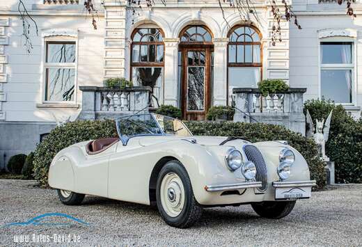 Jaguar 120 Open Top Speedster (OTS) LHD 1951 / OLDTIM ...