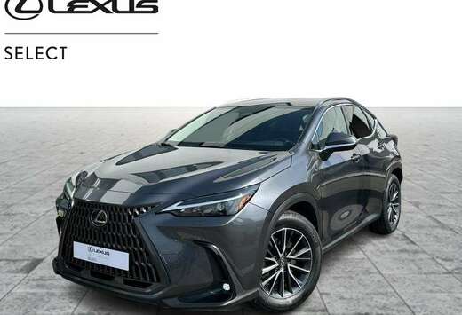 Lexus Executive Line