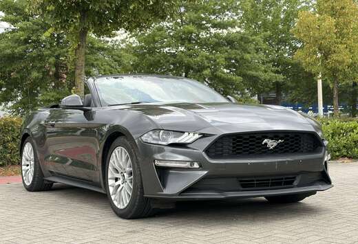 Ford Cabrio 2.3i EcoBoost *EU-COC* 1 jaar garantie