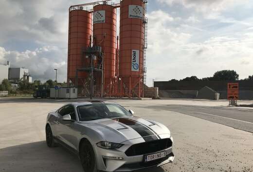 Ford S550 MY19 23i EcoBoost 290PK Fastback